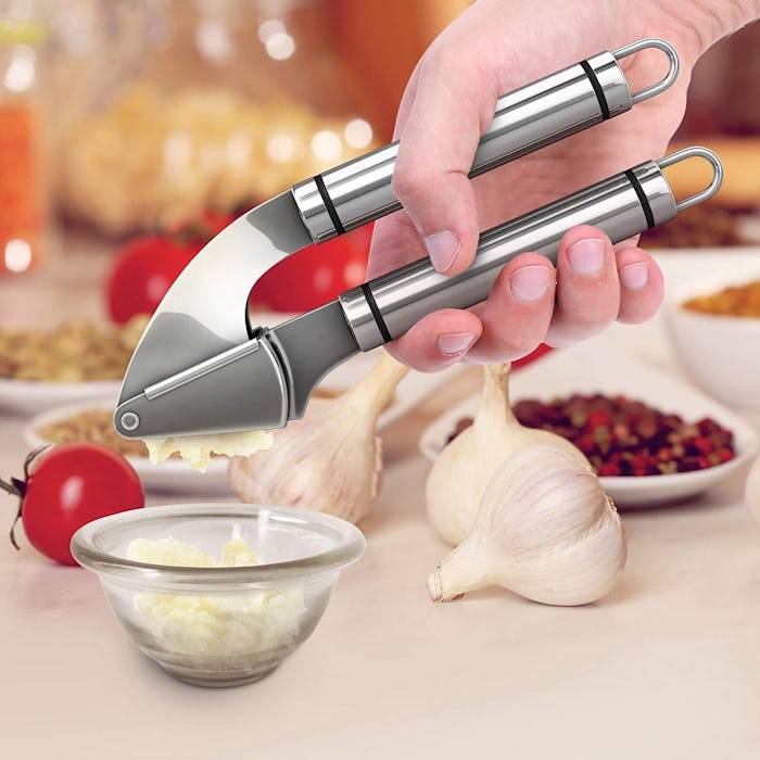 Orblue Garlic Press