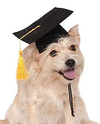 Rubie's Graduation Hat Pet Accessory