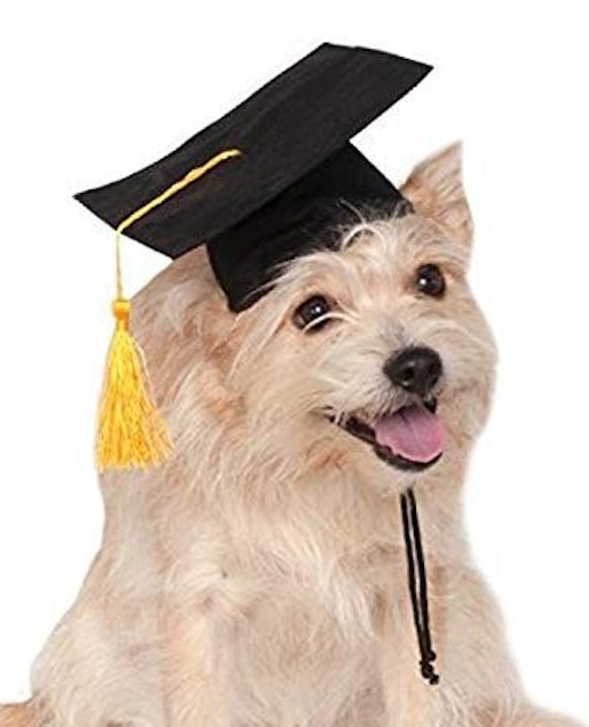 Rubie's Graduation Hat Pet Accessory