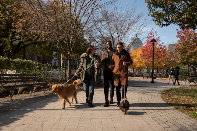 The Best 'Modern Love' Episodes To Watch If You Can't ...