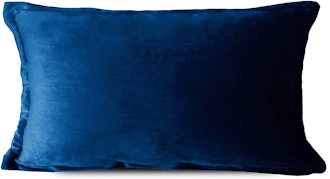 Edow Deluxe Velvet Decorative Pillow 