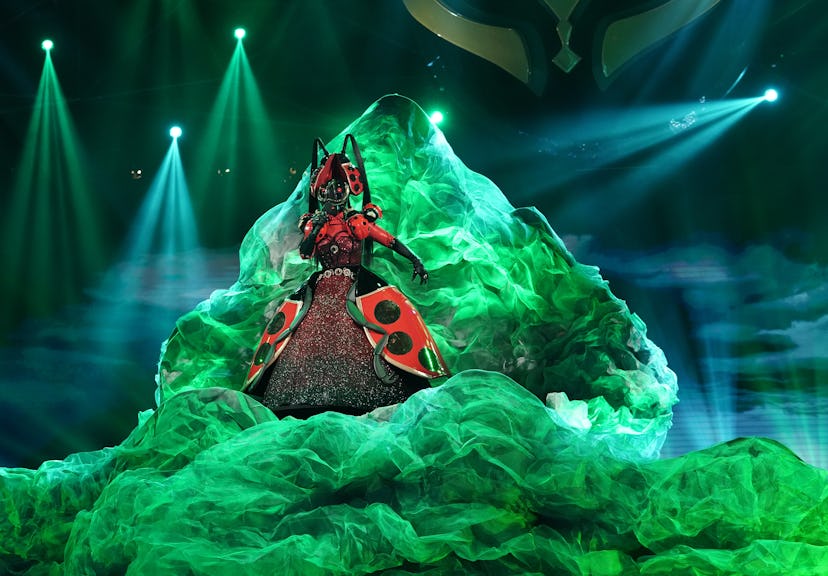 The Ladybug performs on The Masked Singer