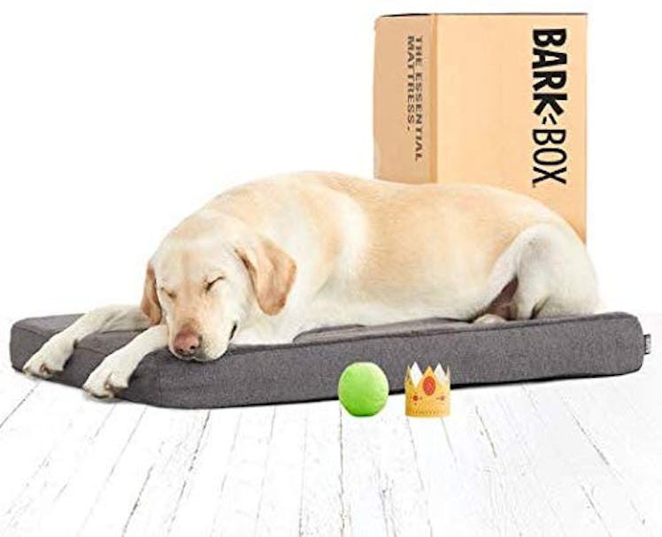 BarkBox Memory Foam Dog Bed