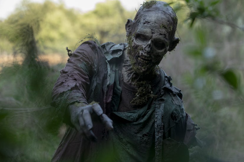 A mossy zombie on The Walking Dead