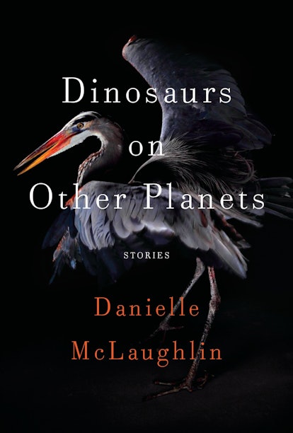 An image of 'Dinosaurs on Other Planets' by Danielle McLaughlin, which contains the short story "Hoo...