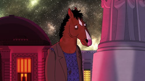 BoJack Horseman (voiced by Will Arnett) in BoJack Horseman