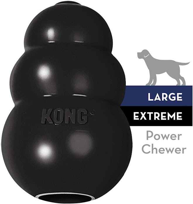 KONG Extreme Dog Toy