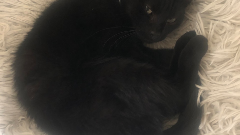 Selfie Memes The Best Funny Photos Images And Videos Mr Memel