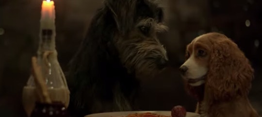 The remake of Lady and the the Tramp hits Disney Plus Nov. 12