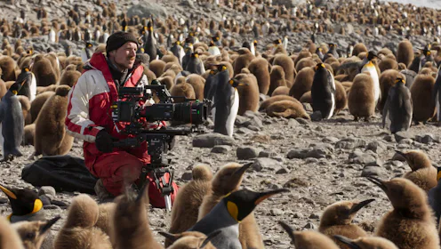 Seven Worlds, One Planet cameraman Rolf Steinmann gave an emotional plea to the world