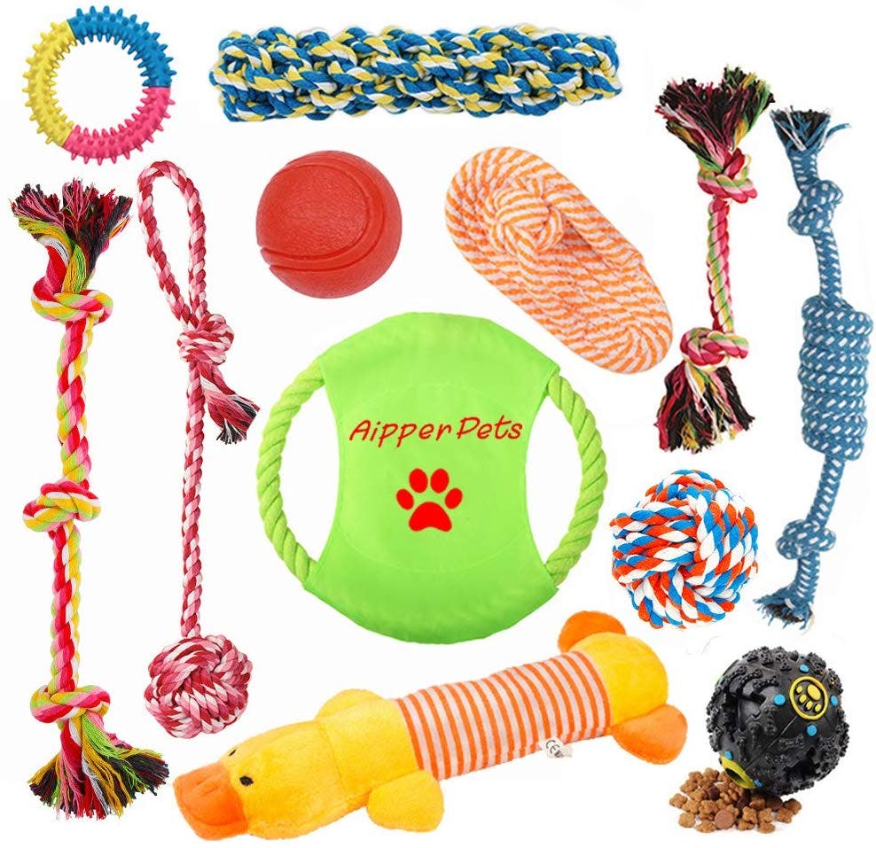 The 14 Best Chew Toys For Dogs