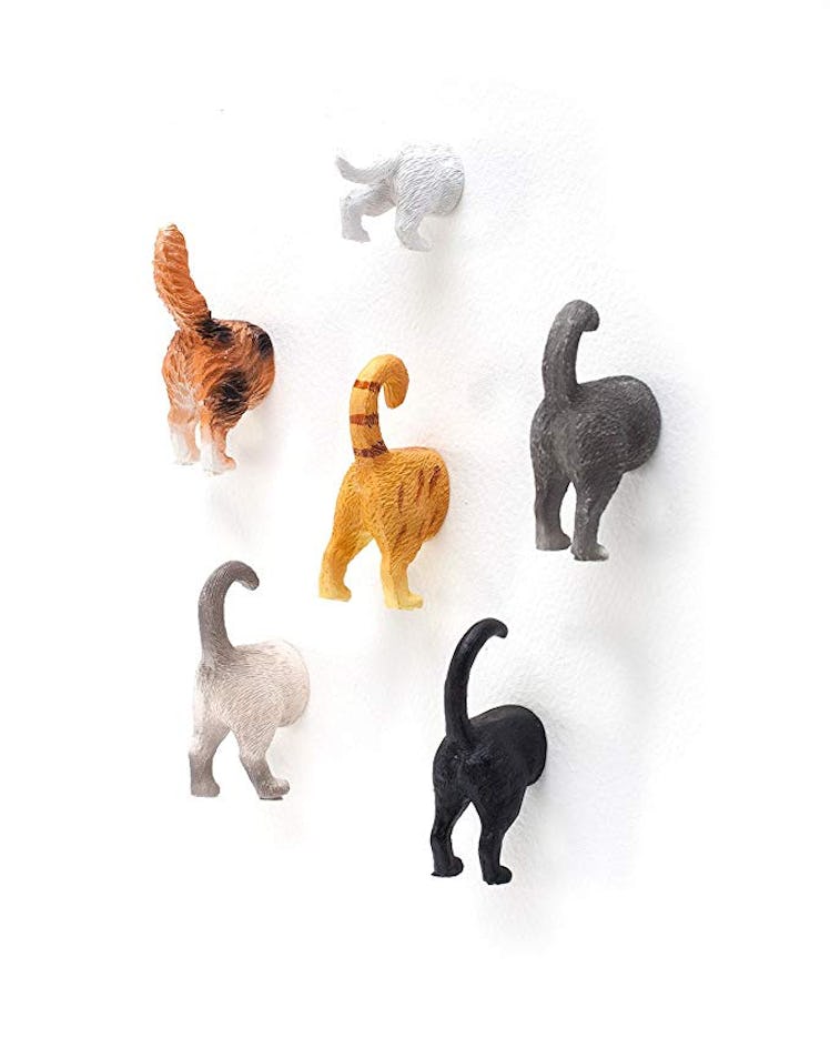 Cat Butt Refrigerator Magnets (6-Pack)