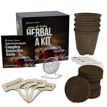 Grow 4 of Your Own Organic Herbal Tea Kit