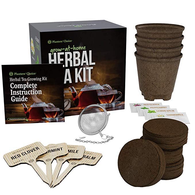 Grow 4 of Your Own Organic Herbal Tea Kit
