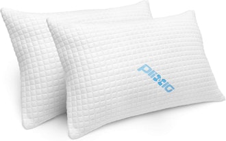 Plixio Memory Foam Pillows (2-Pack)