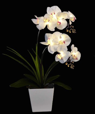 Homeseasons Orchid Arrangement with LED Lights