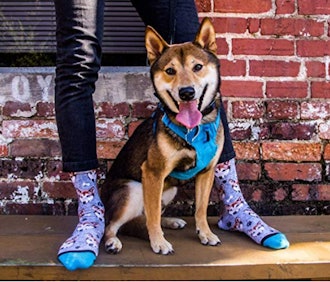 DivvyUp Custom Dog Socks 