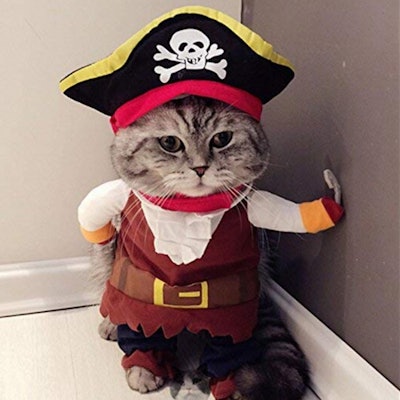 Pirate Cat Costume Suit