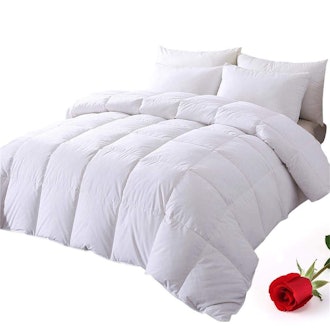 DOWNCOOL 100% Cotton Quilted Down Comforter (Queen)
