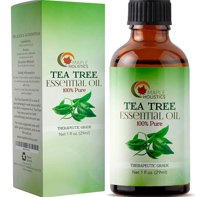 Maple Holistics 100% Tea Tree Oil (1 Ounce)