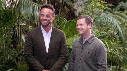 Ant and Dec on I'm A Celebrity Get Me Out Of Here