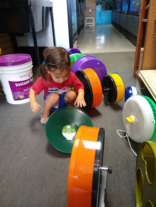 A picture of the writer's child on a special trip to the pet store with Gramma. 