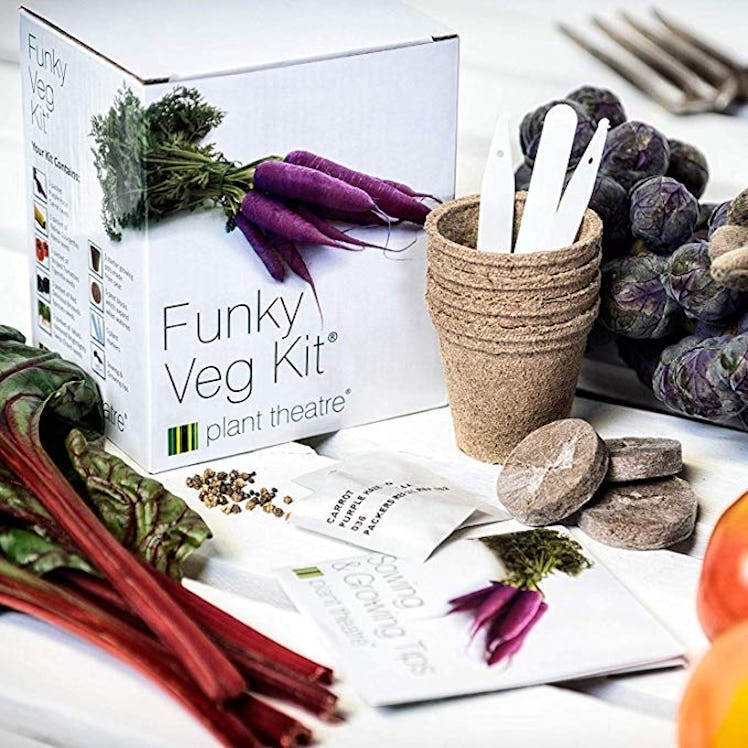 Plant Theatre Funky Veg KIT Gift Box