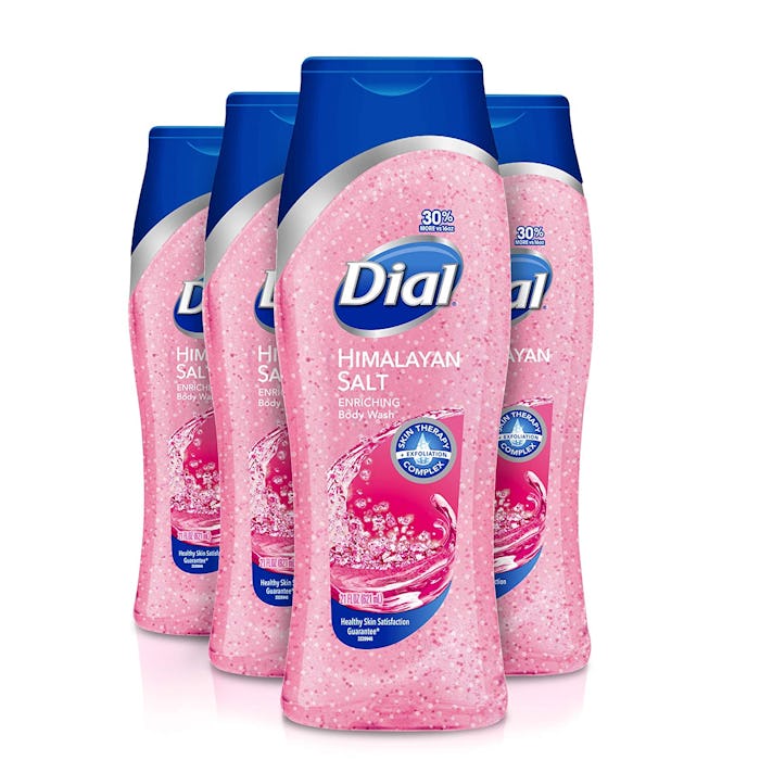 Dial Body Wash Himalayan Salt, 21 oz.