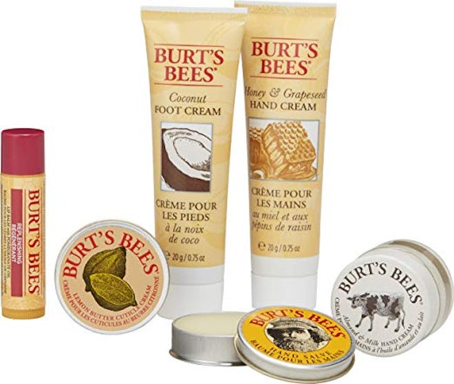 Burt's Bees Tips and Toes Kit Gift Set