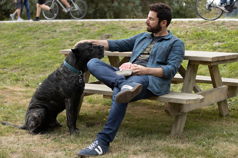 Gary pets his dog Colin at the park on A Million Little Things