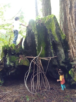 A picture of two young children playing in the California forest. 