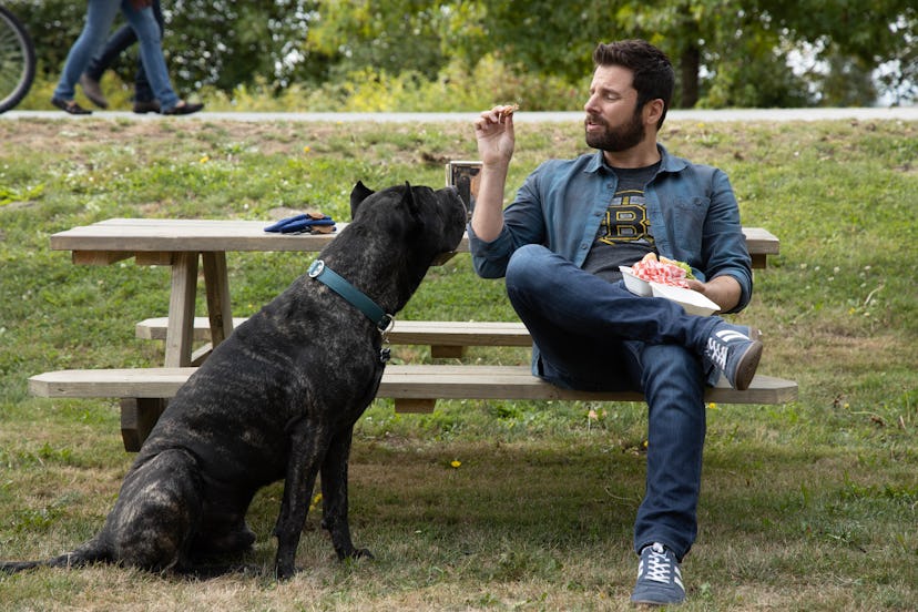 Gary and his dog Colin eating lunch at the park on A Million Little Things
