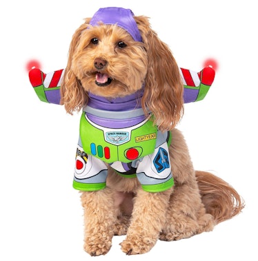Rubie's Disney: Toy Story Pet Costume
