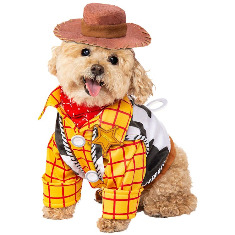 Rubie's Disney: Toy Story Pet Costume