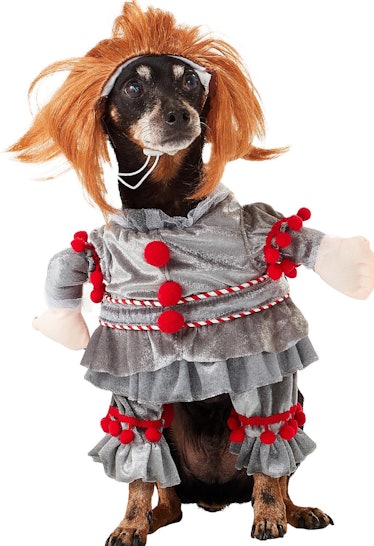 Rubie's Costume Company Penny Wise Dog Costume