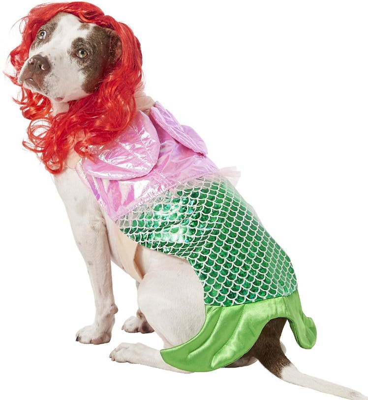 Frisco Mermaid Dog Costume