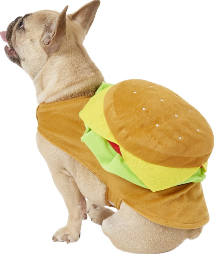 Rubie's Costume Company Cheeseburger Dog Costume