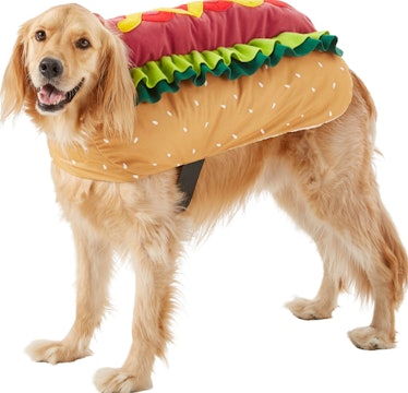 Frisco Hotdog Large Dog Costume