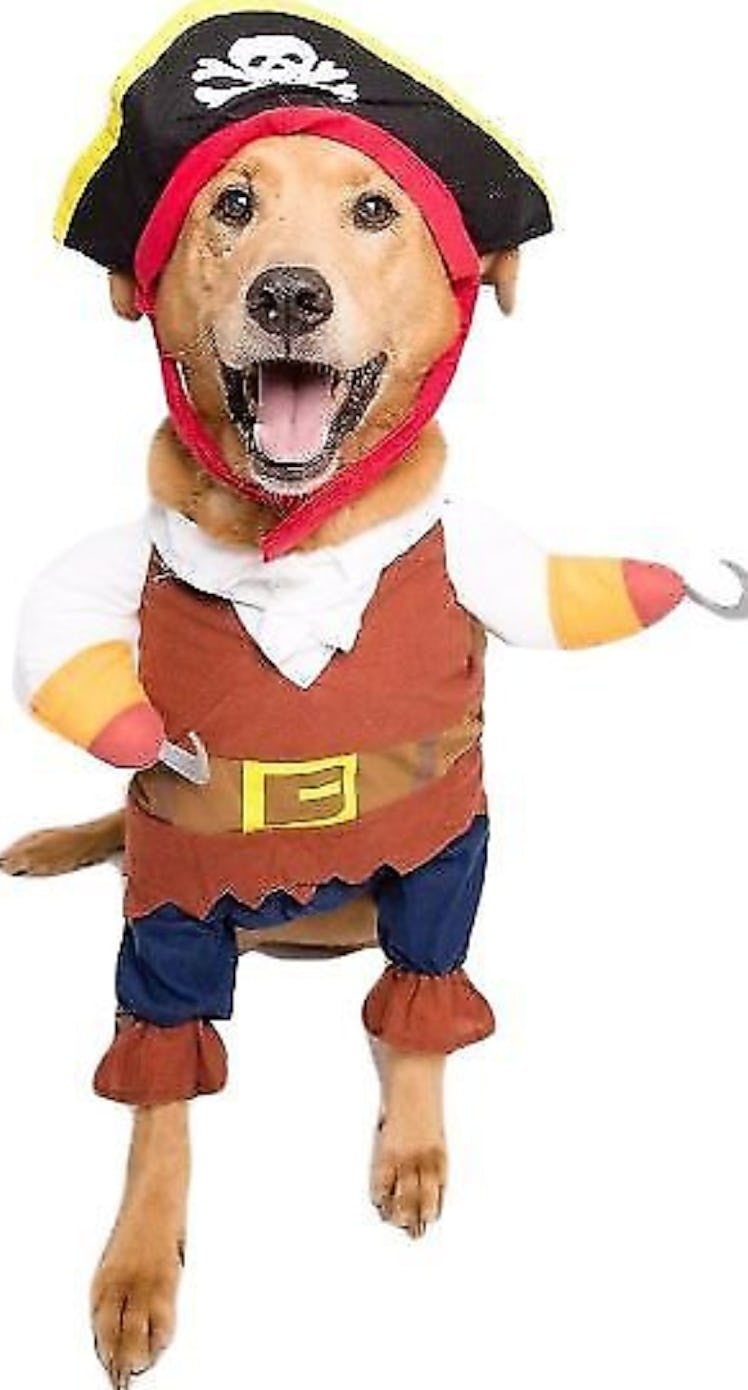 Pet Krewe Pirate Dog Costume