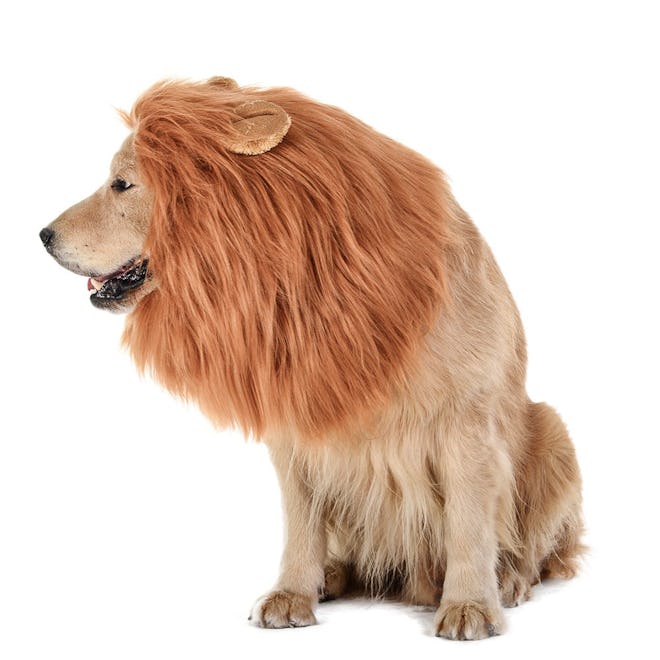TOMSENN Dog Lion Mane Wig