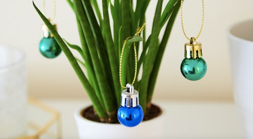 Christmas ornaments for your succulents.