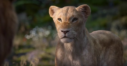 Nala in Disney's Live Action The Lion King