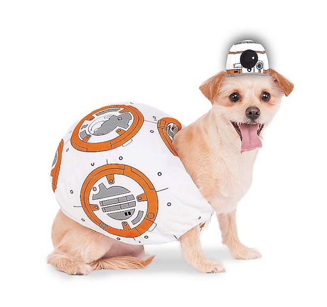 BB-8 Pet Costume