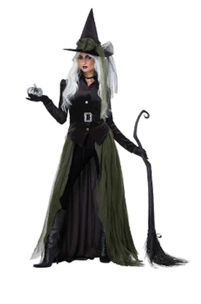California Costumes 01428 Adult Gothic Witch