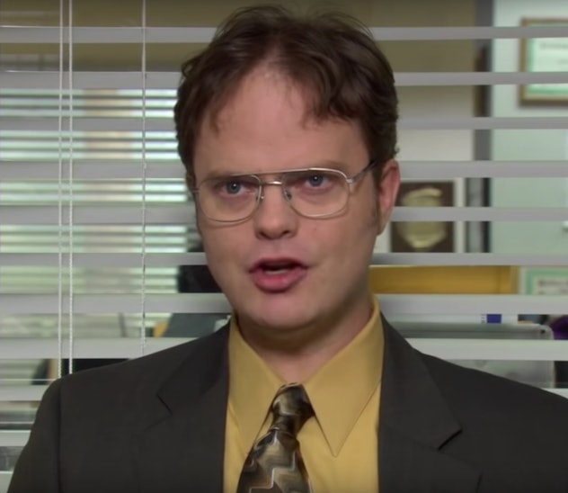 Dwight Schrute is a character to choose for 'The Office' baby costumes