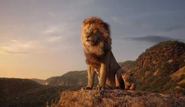 Mufasa in Disney's Live Action The Lion King