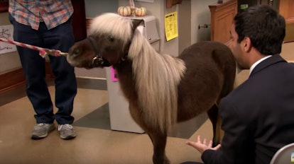 Li'l Sebastian from 'Parks and Recreation' makes a great costume
