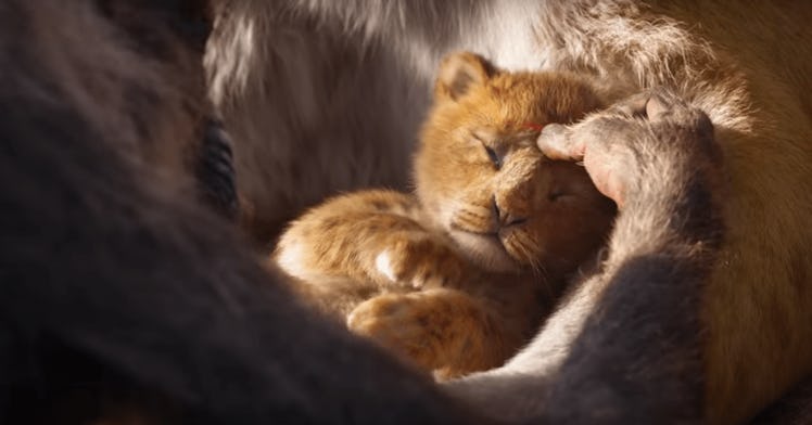 Simba from The Lion King