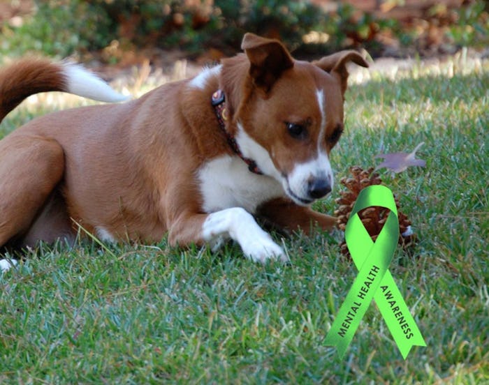 Adding a green ribbon filter to your Facebook profile is one of many ways to support World Mental Da...