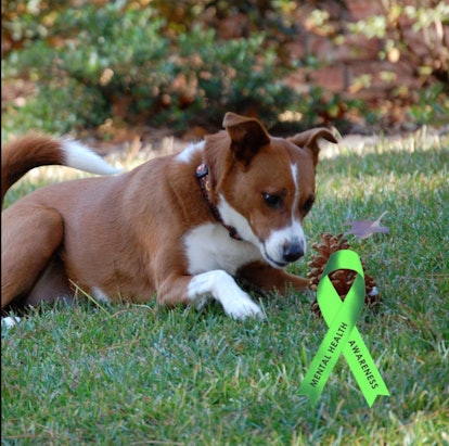 Changing your Facebook profile photo to include a green ribbon for Mental Health Awareness. 